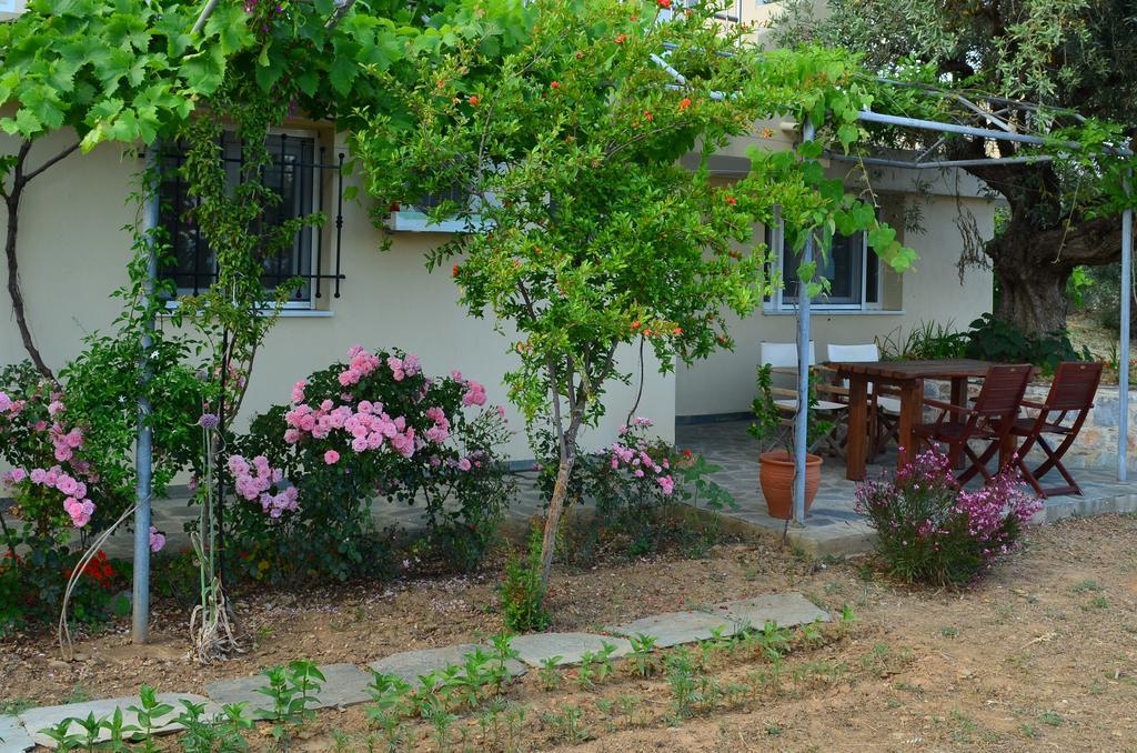 Villas Zoe Ksanemos Екстер'єр фото